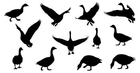 Simple Silhouette Goose Collection with Various Poses Isolated Bird Illustration