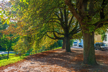 Park im Spätsommer in Rostock