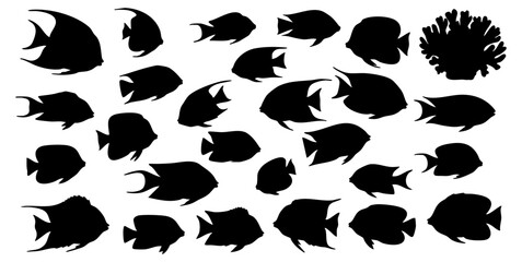 Silhouette Detailed Tropical Fish School and Coral Reef Marine Life Illustration