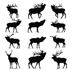 Black and white elk bugling silhouette set