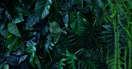 Full Frame of Green Leaves Pattern Background, Nature Lush Foliage Leaf Texture, tropical leaf