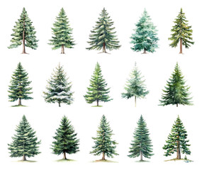 Obraz premium Diverse watercolor evergreen tree collection.