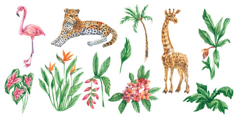Tropical clip art, painted in watercolour on a white isolated background. Children's botanical and animalistic collection of illustrations. Designs for greeting cards, stickers, social media, posters.