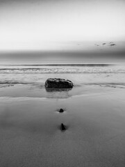 Minimalist black and white coastal scene with a single rock on wet sand at low tide, waves rolling in the distance and a tranquil horizon © Philip