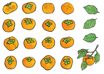 筆で描いた柿　カラー