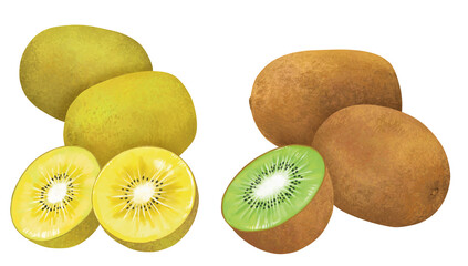 手描きのキウイフルーツ