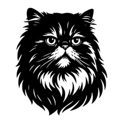 Persian cat breed in black and white concept