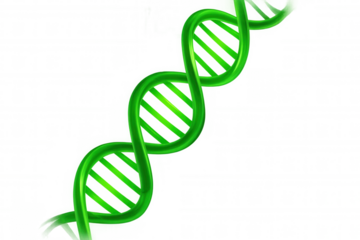 Green dna double helix structure representing genetics, biology, and scientific research with transparent background