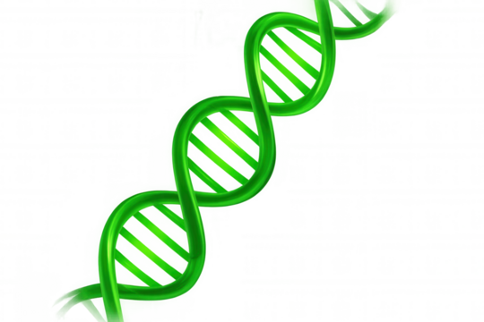 Green dna double helix structure representing genetics, biology, and scientific research with transparent background