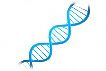 Blue dna double helix molecular structure rotating, genetic engineering, futuristic science and technology background, transparent