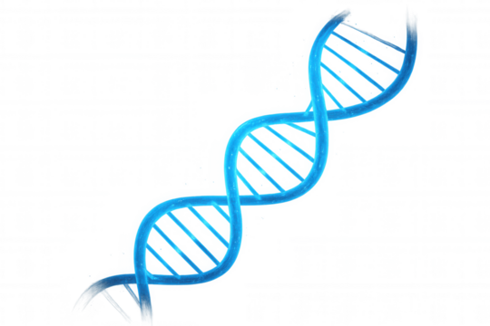 Blue dna double helix molecular structure rotating, genetic engineering, futuristic science and technology background, transparent