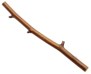 brown wooden sticks or twig isolated on white background