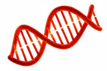 Red dna molecule forming a double helix, representing genetics, science, and life. Ideal for medical and biotech themes