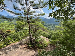 山形の山からの風景