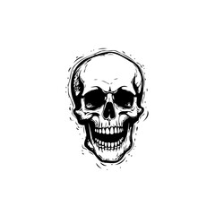 Monochromatic skull artwork displaying detailed bone structure and subtle shadowing techniques