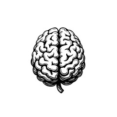 Monochrome cerebral illustration symbolizing intellect cognition awareness and potential for