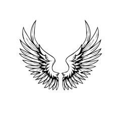 Symmetrical feathered wings illustration showcases artistic sketch and graphic element in simple