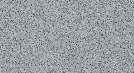 Fototapeta premium Grey Granite Stone Texture Background with Mineral Speckles