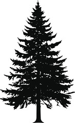 Pine tree silhouette detailed black vector illustration, evergreen forest nature element, Christmas design graphic, cad drawing flat vector illustration