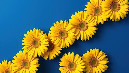 Vibrant yellow gerbera daisies arranged in geometric pattern against deep blue background.