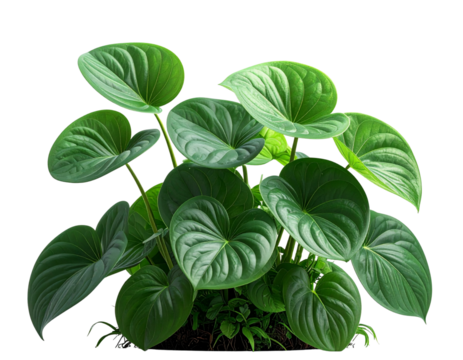 Hyper-realistic PNG of a cluster of green leaf plants placed along a pastel gray back