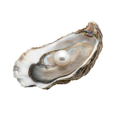Naklejka premium Pearl in Oyster Shell on Transparent Background.