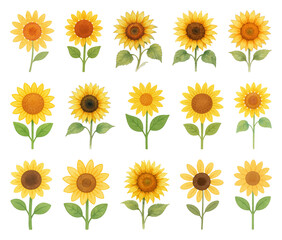 Fototapeta premium Vibrant sunflowers digital illustration