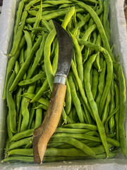 Traditional banana knife on fresh green beans at fruit shop