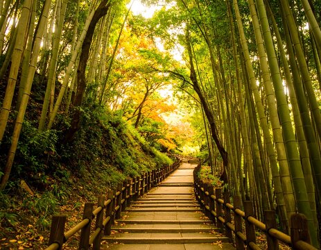 Serene bamboo forest path in autumn