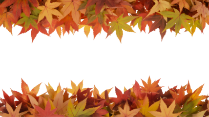 Vibrant autumn maple leaves forming a decorative border on a black background with space for text isolated on transparent background
