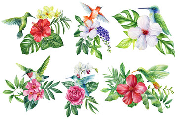 Hummingbirds with tropical flowers hibiscus orchid rose and exotic green leaves watercolor floral botanical set for summer design