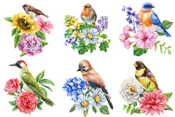 Set of watercolor birds with roses daisies sunflowers lilacs and garden flowers botanical floral wildlife illustrations 