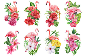 Tropical flamingo set with hibiscus orchids roses lilies and exotic green leaves watercolor exotic bird floral illustration
