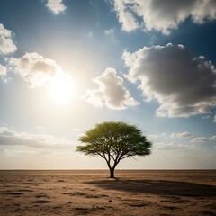 Fototapeta premium Lonely Tree in a Vast Desert Landscape.