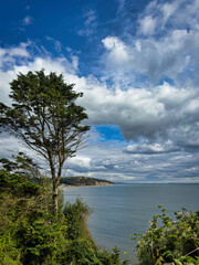 Seaton coast in Devon. UK