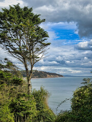 Seaton coast in Devon. UK