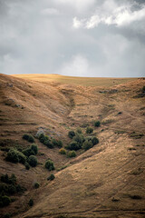 sand dunes in death valley