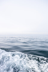 wave in Pacific ocean in Avacha bay on spring day