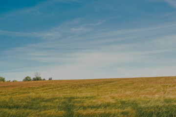 Obraz premium field and sky