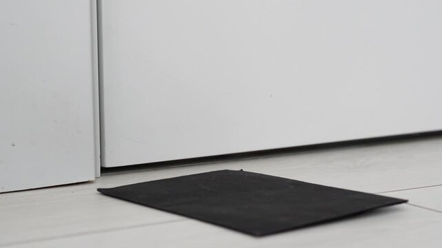 A black envelope with a message under the door.
Receiving a letter at the door.
A black envelope with a paper letter on the floor.
Letter, floor, message, mail, delivery