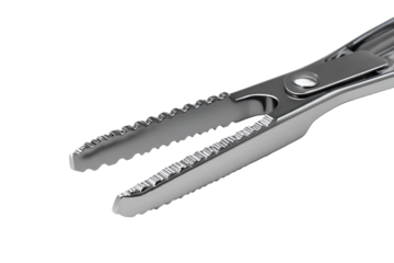 Professional Stainless Steel Tongs Close-Up