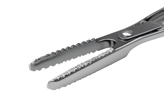 Professional Stainless Steel Tongs Close-Up