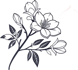 Elegant line art gardenia flower with delicate butterfly on white background