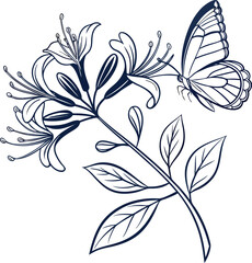 Elegant line art of a honeysuckle flower with a delicate butterfly illustration