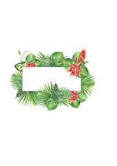 Tropical leaves, flowers and buds watercolor banner. Exotic palm, bromeliad. Hand drawn illustration.ai