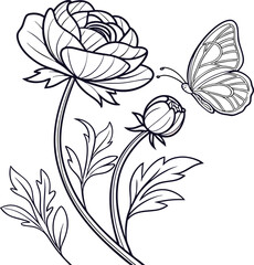 Elegant line art ranunculus flower with a delicate butterfly illustration