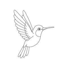 Hummingbird Vector Lineart Illustration Design