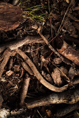 abstract background, wood, metal, textures