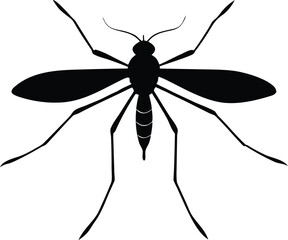 mosquito illustration, summer nuisance symbol
