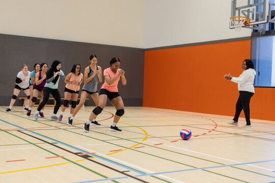 Diverse female volleyball teammates executing forward-back drill on gymnasium court